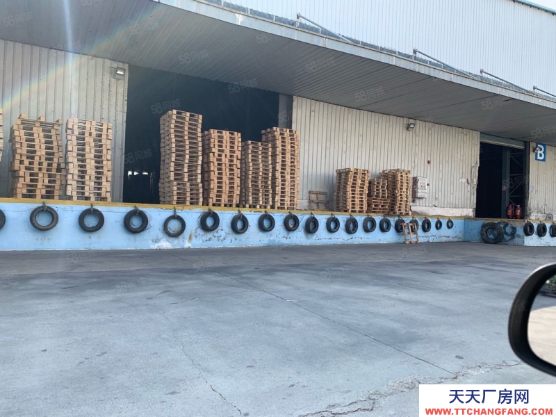 (出租) 廣州南沙欖核高臺(tái)倉(cāng)庫(kù) 消防噴淋1375平6800平13000平方出租