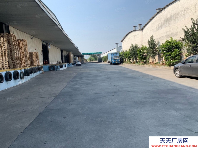 (出租) 廣州南沙欖核高臺倉庫 消防噴淋1375平6800平13000平方出租