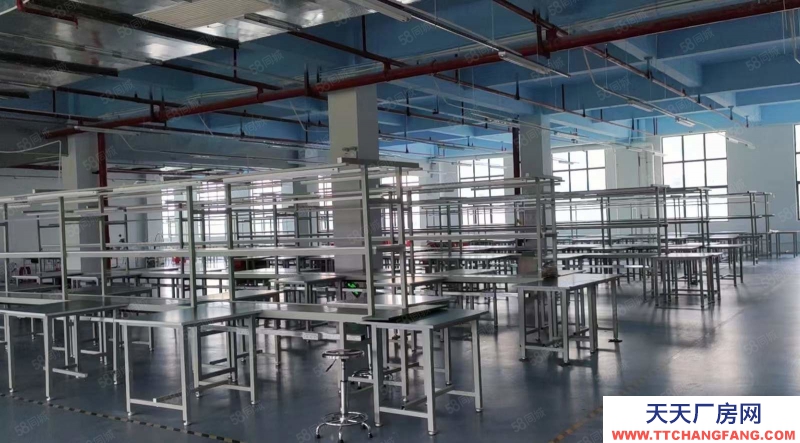 (出租) 廣州黃埔實(shí)驗(yàn)室 廠房 500方至1萬(wàn)方 有1樓至9樓可選擇