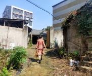 (出租) 荊州監(jiān)利占地六畝空地二畝,國有證樓房出售出租,另有章華大道廠房出租