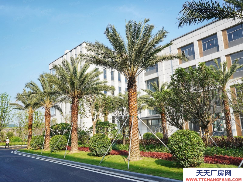 (出售) 廣州荔灣邊全新產權標準廠房出售??！