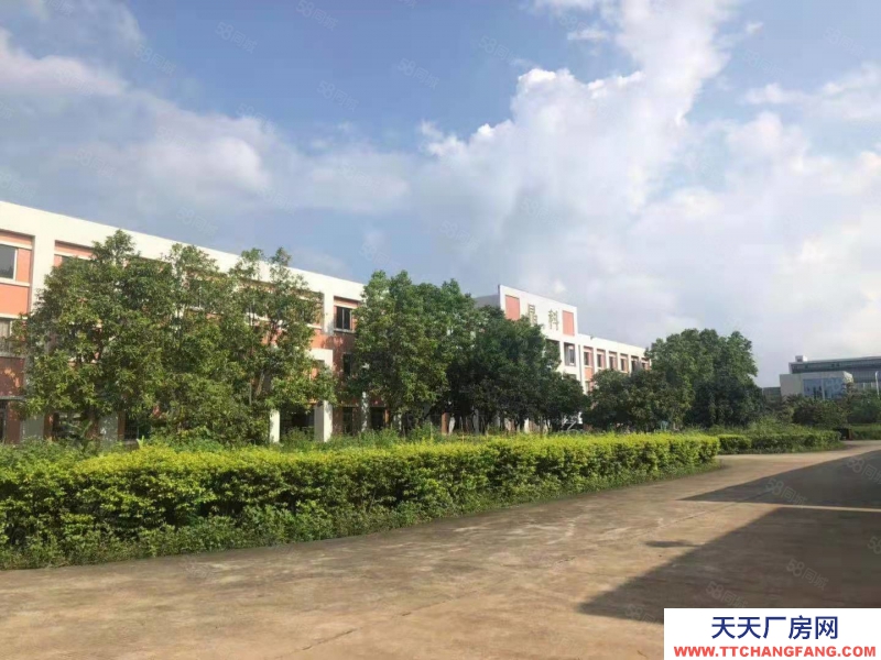 (出售) 廣州黃埔花園式 獨棟標準廠房出售 13268平方 可分棟出售