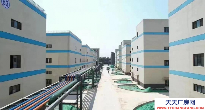 東營標準廠房出售，50年產權，單一層獨門獨院