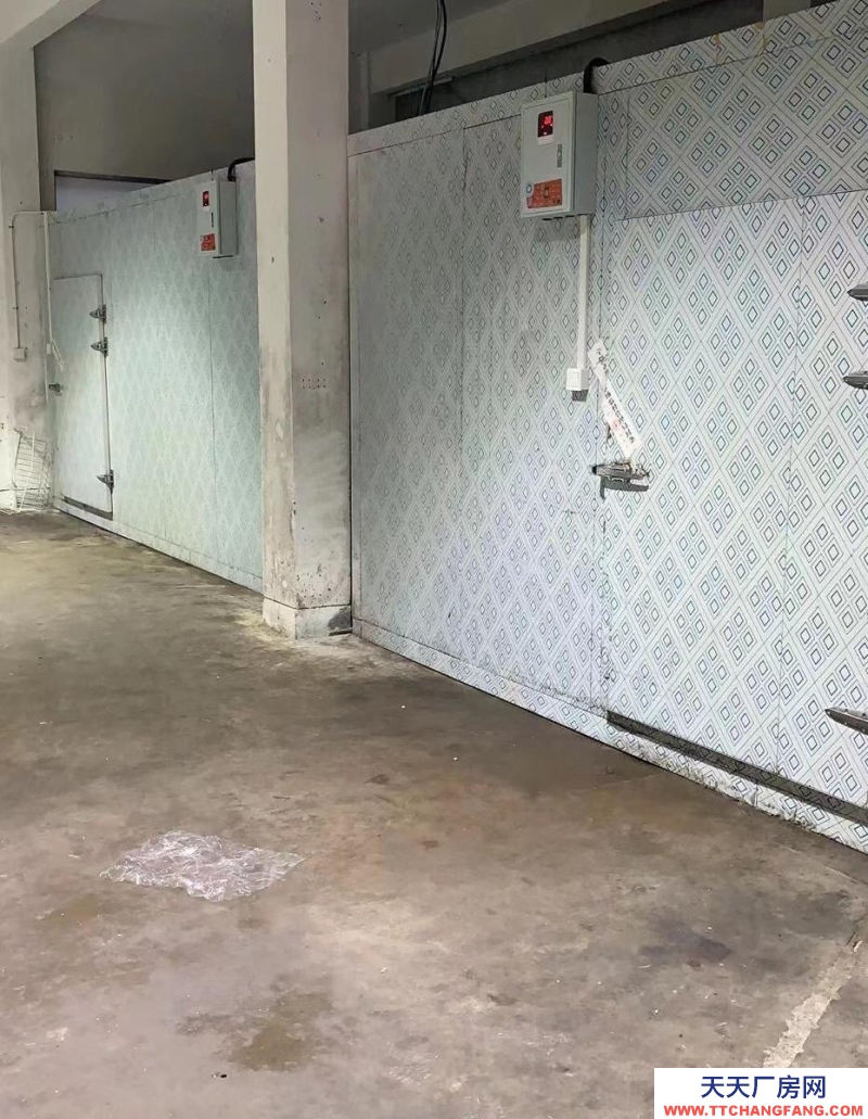 寧波海曙(出租) 出租高橋秀豐工業(yè)區(qū)一樓廠房460平層高5米價格28塊