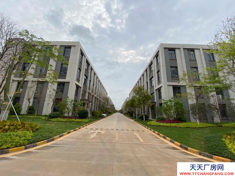 (出售) 廣州花都準現樓，國有紅本，可分割產權，配套成熟