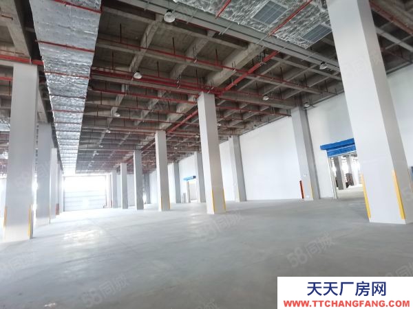 蘇州市太倉市5000平起租高標倉庫大可租60000平