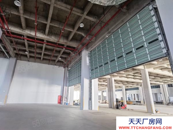 蘇州市太倉市5000平起租高標倉庫大可租60000平