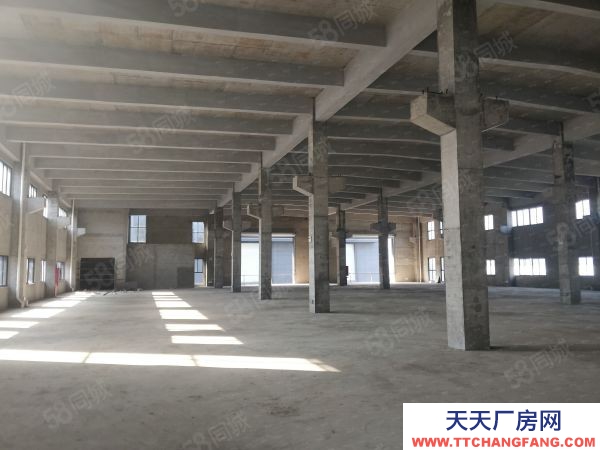 蘇州太倉市 昆山 蘇州周邊 國土50 高標廠房