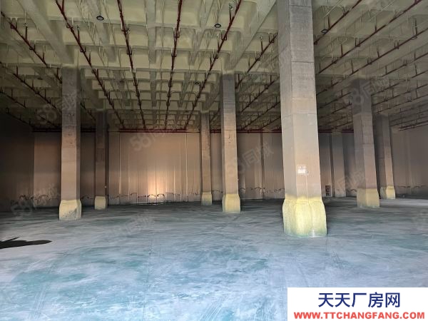 蘇州市太倉市城廂 高平臺(tái)倉庫2000平 大車好進(jìn)出