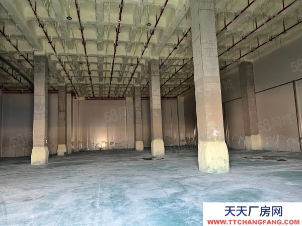 蘇州市太倉市城廂 高平臺(tái)倉庫2000平 大車好進(jìn)出