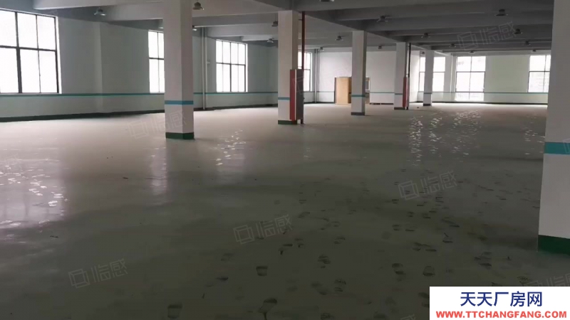 寧波江北(出租) 出租洪塘工業區1700平方，16元每平大車進出方便