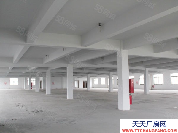 蘇州市張家港常熟尚湖1820平標準廠房,可做倉庫,3t貨梯
