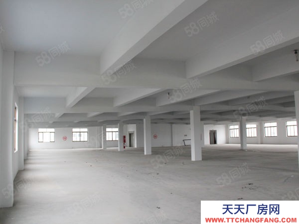 蘇州市張家港常熟尚湖1820平標準廠房,可做倉庫,3t貨梯