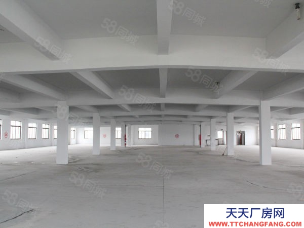 蘇州市張家港常熟尚湖1820平標準廠房,可做倉庫,3t貨梯