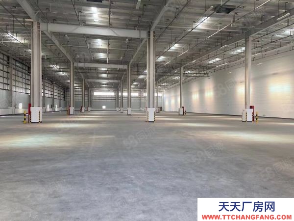 蘇州市張家港 城北100000平米丙二類倉庫雙邊出租可分租4000形象好