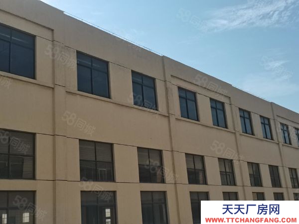 蘇州市張家港保稅區(qū)1樓 丙類有噴淋 3700平層 高6米 可配行車