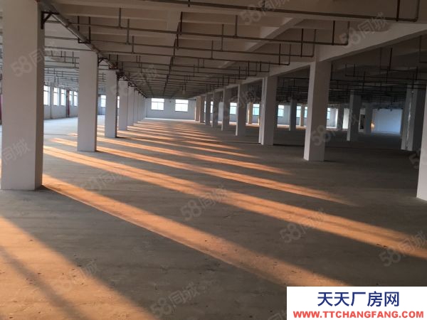 蘇州市張家港保稅區(qū)1樓 丙類有噴淋 3700平層 高6米 可配行車