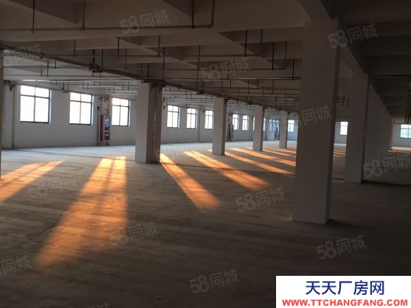 蘇州市張家港保稅區(qū)1樓 丙類有噴淋 3700平層 高6米 可配行車