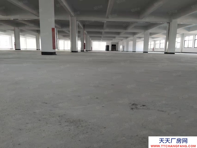 寧波江北(出租) 江北區金山路標準廠房出租