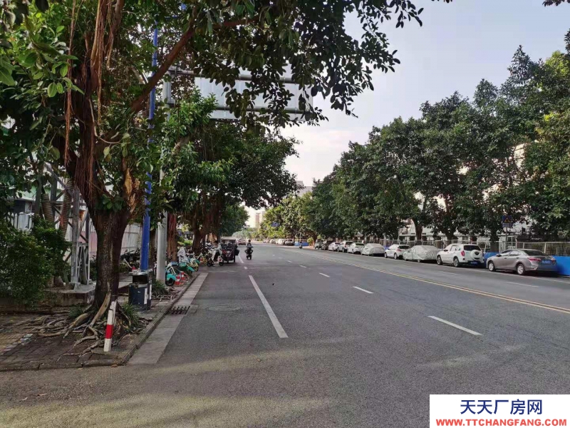 (出租)南寧市西鄉塘區西鄉塘高科路廠房、辦公室 出租