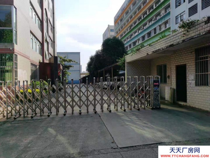 (出租)南寧市西鄉塘區西鄉塘高科路廠房、辦公室 出租