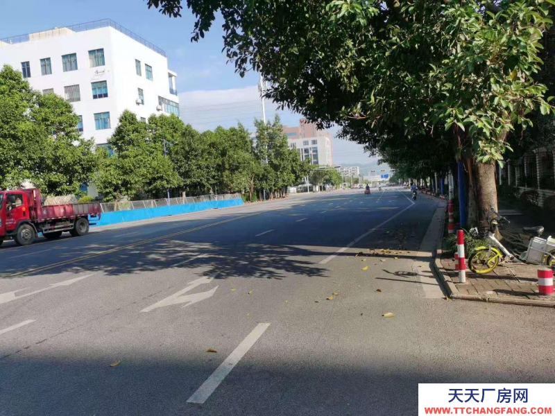 (出租)南寧市西鄉塘區西鄉塘高科路廠房、辦公室 出租