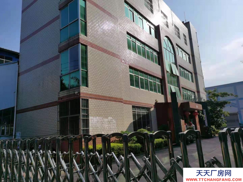 (出租)南寧市西鄉塘區西鄉塘高科路廠房、辦公室 出租