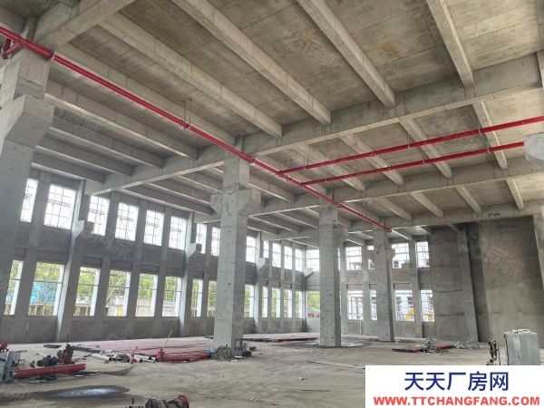 蘇州市張家港后一個獨棟廠房出售，50年產權，首付三成起