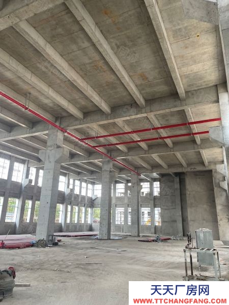 蘇州市張家港后一個獨棟廠房出售,50年產(chǎn)權(quán),首付三成起