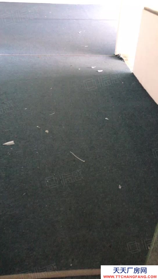 寧波江北(出租) 房東直租！2噸貨梯 5樓165平集裝箱大車 商貿(mào)跨境電商政策