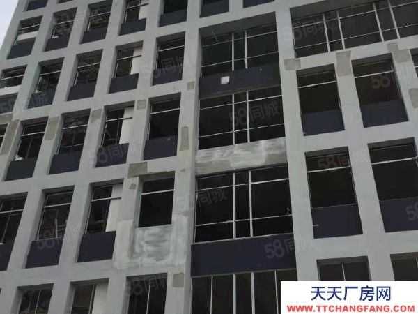 蘇州市張家港樂余鎮廠房出售