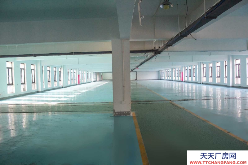 寧波江北(出租) 房東直租！ 2000平 3噸電梯 大車出入方便！