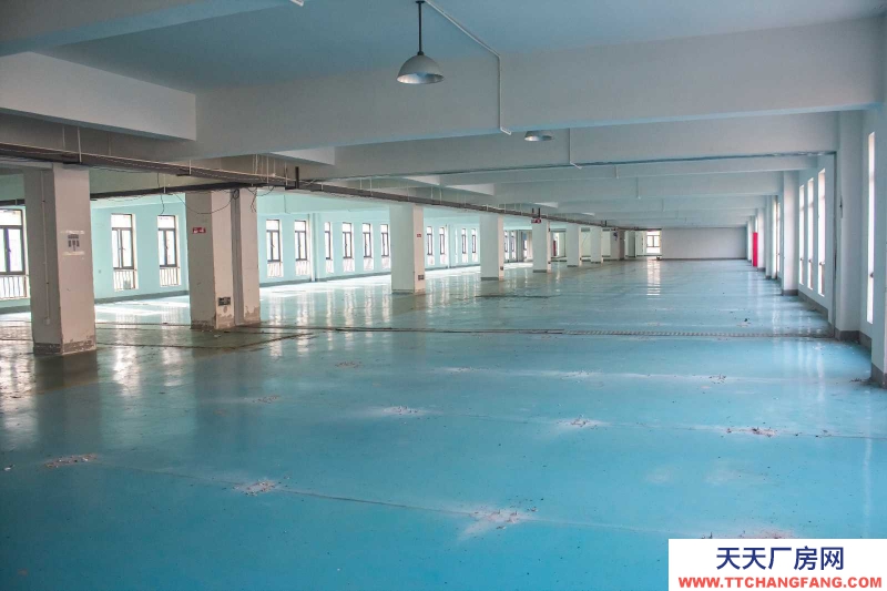 寧波江北(出租) 房東直租！ 2000平 3噸電梯 大車出入方便！