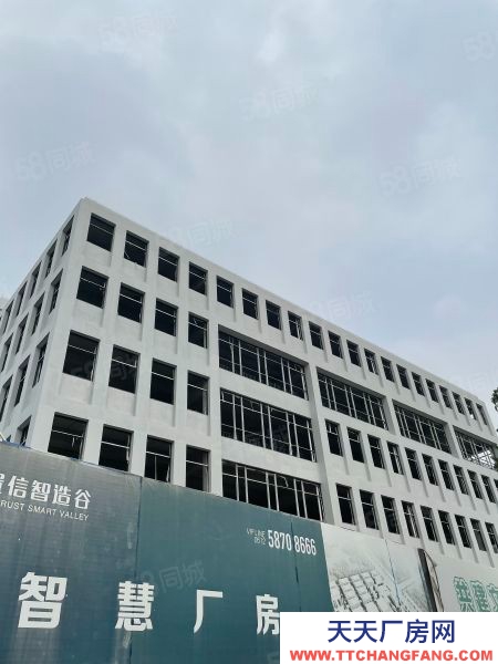 蘇州市張家港標準廠房，配牛腿貨梯送大露臺