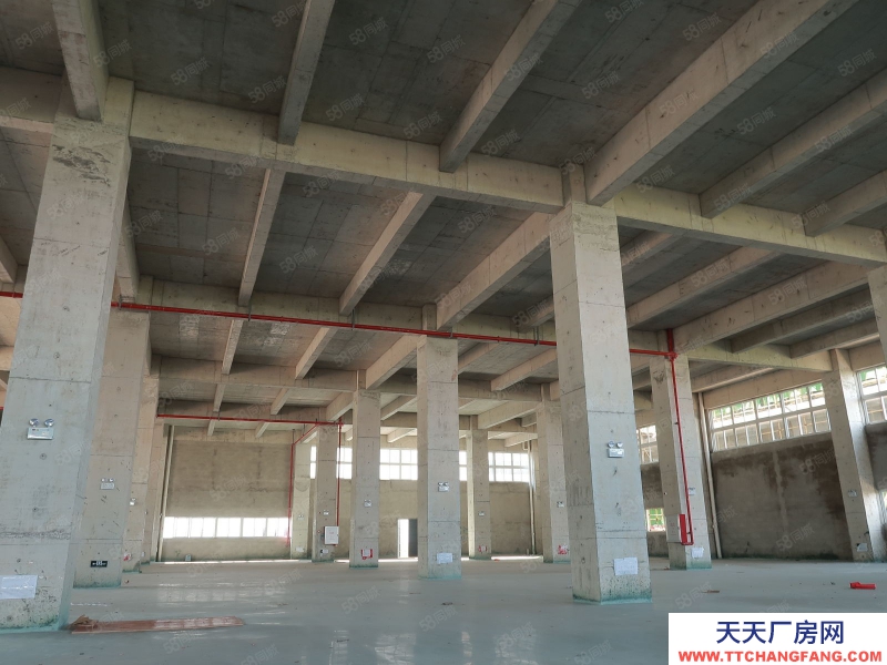 (出售) 廣州白云700至3萬平廠房獨門獨院，50年產權，M2用地，10年按揭