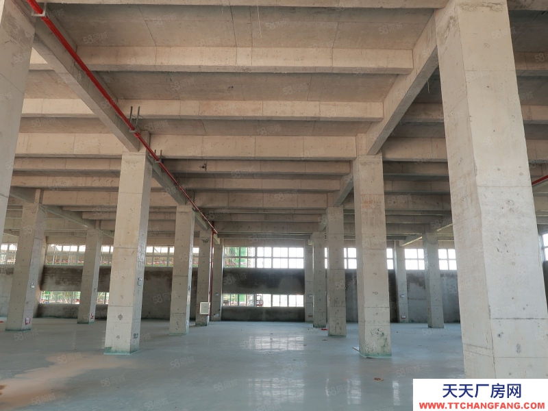 (出售) 廣州白云700至3萬平廠房獨門獨院，50年產權，M2用地，10年按揭