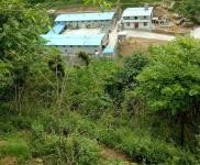 (出售) 十堰茅箭羊場，可以喂千頭以上，也可以放養