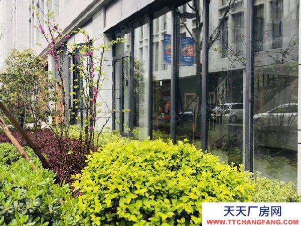 蘇州市常熟市園區一手廠房出售，兩層，兩層半產品，面積1500至5000平