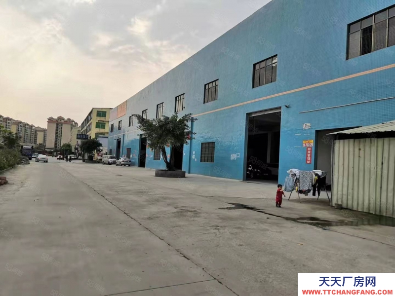 (出租) 廣州增城新塘倉(cāng)庫(kù)招租。大小可分割。價(jià)格美麗!電商倉(cāng)庫(kù)。物流倉(cāng)儲(chǔ)等