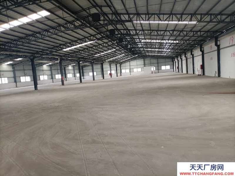 (出租) 廣州增城新塘倉庫招租。大小可分割。價格美麗！電商倉庫。物流倉儲等