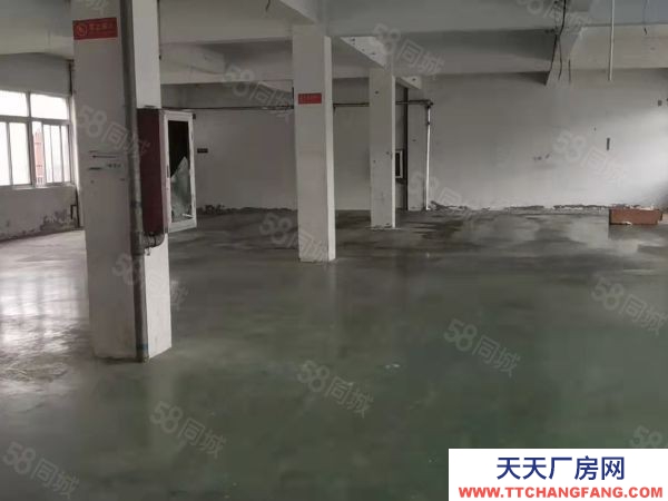 蘇州市常熟市莫城三塘一樓450平適合電商倉庫 環境好 車子好進出