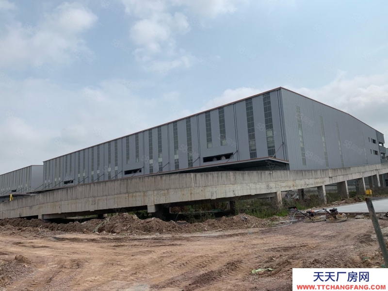 (出租) 廣州番禺兩層高臺物流倉庫10萬平方5500平方起出租 丙二消防證