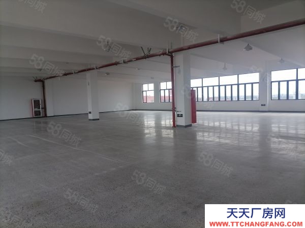 蘇州市常熟市莫城樓上電商倉庫1300平出租，環境好，租金便宜，交通便利