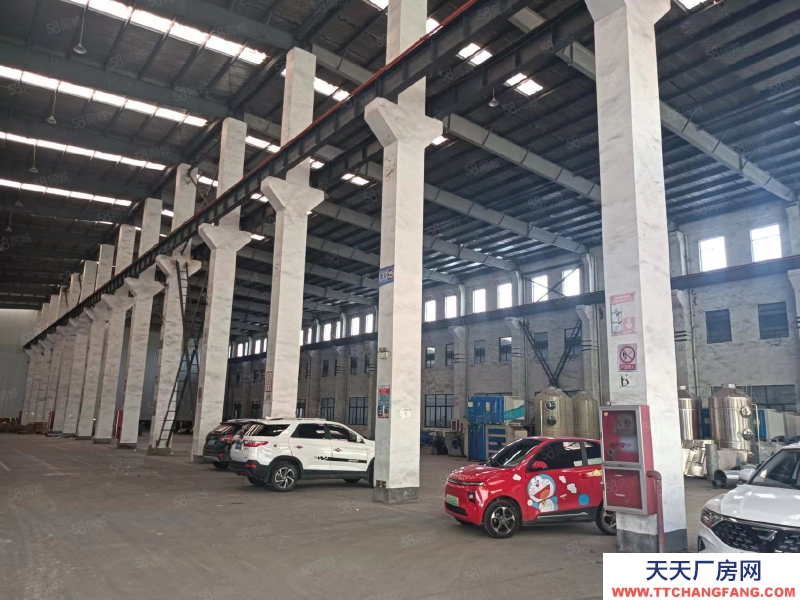 寧波江北(出售) 江北路林5.5畝.8米高,2400萬