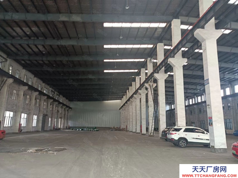 寧波江北(出售) 江北路林5.5畝.8米高,2400萬