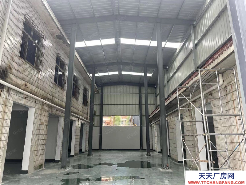 寧波江北(出售) 江北路林5.5畝.8米高,2400萬