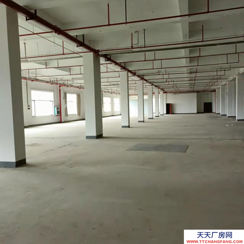 (出租)南寧市西鄉塘區高新區標準廠房、倉庫出租,大車出入方便,交通便利