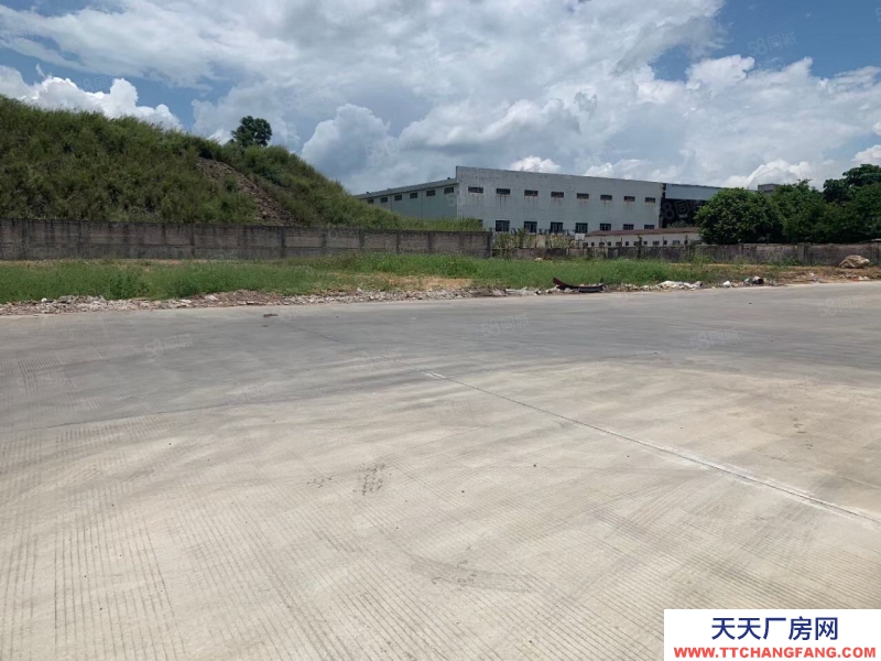 (出租) 廣州南沙雙面高臺(tái)倉(cāng)出租5000方起分租空地大適合物流配送倉(cāng)儲(chǔ)等