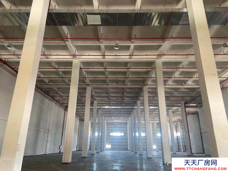 (出租) 廣州黃埔文沖高臺倉庫出租 12000平方起分 空地大