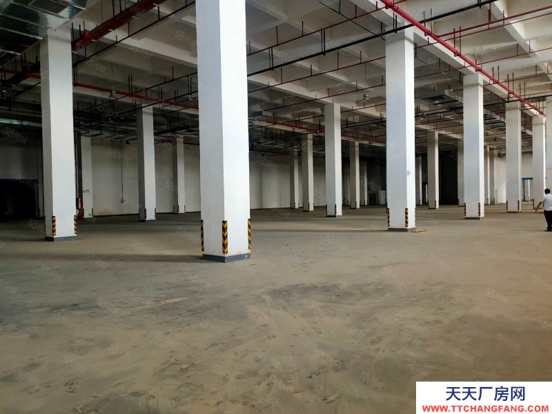 (出租) 廣州黃埔文沖高臺倉庫出租 12000平方起分 空地大